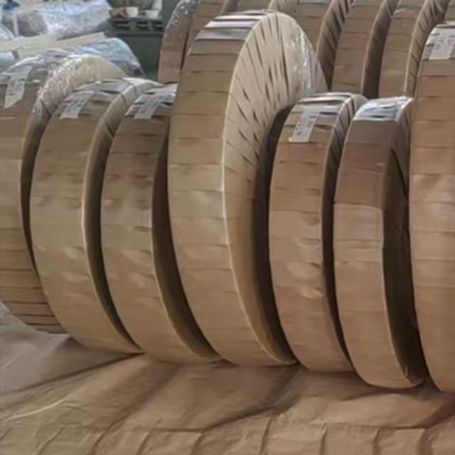 Tira de corte/corte de acero al silicio de grano orientado / Tira de corte/corte de acero al silicio GO